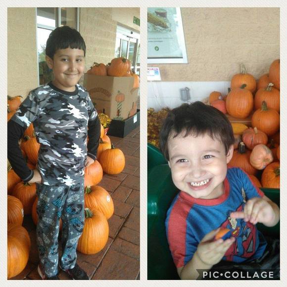 Meet your Posher, Maria - Picture 1 of 1